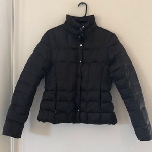 Express Dark Brown Puffer Jacket